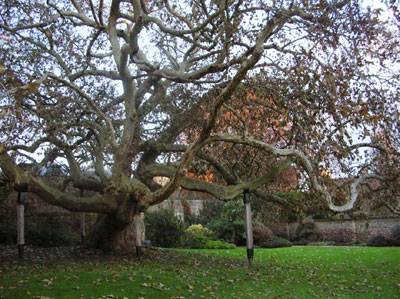 oxford picture 4